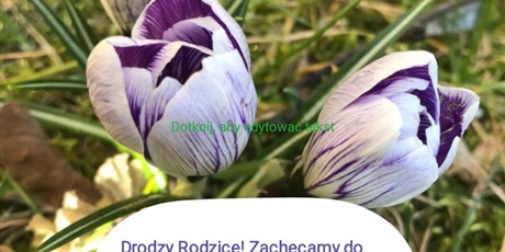 Powiększ grafikę: akcja-wiosenny-kwiatek-wesolych-skrzatow-kolorowe-rabatki-w-przedszkolu-335895.jpg