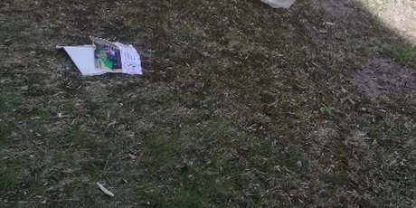 Powiększ grafikę: Trawnik z papierowymi śmieciami.