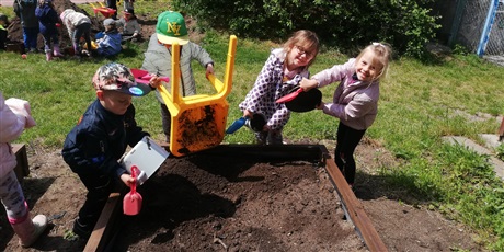 Powiększ grafikę: Na zdjęciu dzieci pracujące w ogrodzie sypiące ziemię do drewnianych skrzynek.