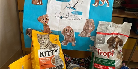 Powiększ grafikę: Na zdjęciu karma dla psów i kotów w wiklinowym koszu.