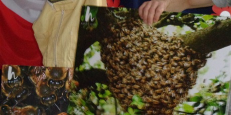 Powiększ grafikę: warsztaty-pszczoly-nasi-mali-przyjaciele-128550.jpg