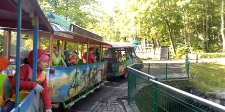 Powiększ grafikę: wycieczka-do-oliwskiego-zoo-93691.jpg