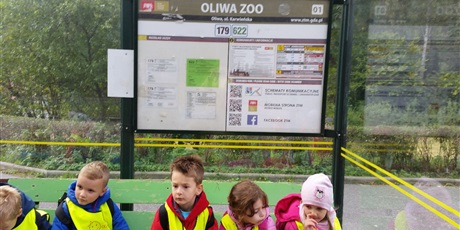 Powiększ grafikę: wycieczka-do-oliwskiego-zoo-95280.jpg
