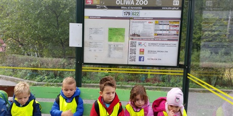 Powiększ grafikę: wycieczka-do-oliwskiego-zoo-95281.jpg