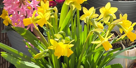 Akcja charytatywna ,,Pola nadziei''