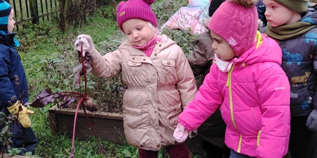 Powiększ grafikę: dzien-buraka-w-wesolych-skrzatach-658462.jpg