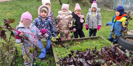 Powiększ grafikę: dzien-buraka-w-wesolych-skrzatach-658469.jpg