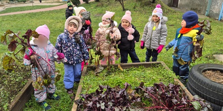 Powiększ grafikę: dzien-buraka-w-wesolych-skrzatach-658470.jpg