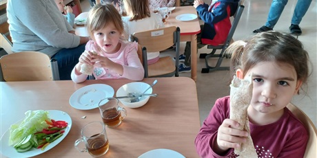 Powiększ grafikę: dzien-zdrowej-tortilli-655967.jpg