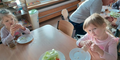 Powiększ grafikę: dzien-zdrowej-tortilli-655968.jpg