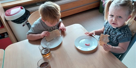 Powiększ grafikę: dzien-zdrowej-tortilli-655975.jpg