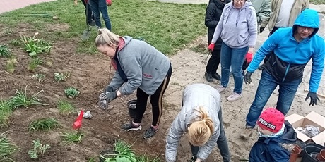 Powiększ grafikę: Na zdjęciu grupa ludzi sadząca kwiaty wiosenne w ziemi na górce.