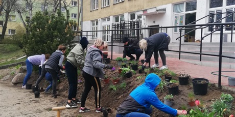 Powiększ grafikę: Na zdjęciu grupa ludzi dorosłych oraz  sadząca kwiaty wiosenne w ziemi na górce na terenie ogrodu przedszkolnego.