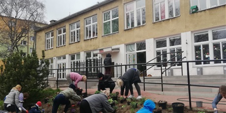 Powiększ grafikę: Na zdjęciu grupa ludzi sadząca kwiaty wiosenne w ziemi na górce.