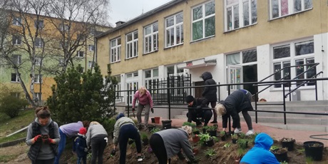 Powiększ grafikę: Na zdjęciu grupa ludzi sadząca kwiaty wiosenne w ziemi na górce.