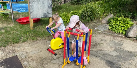 Powiększ grafikę: nasza-mala-silownia-plenerowa-638262.jpg