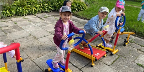 Powiększ grafikę: nasza-mala-silownia-plenerowa-638264.jpg