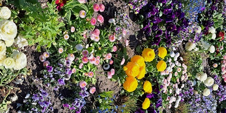 Ogłoszenie dla rodziców o zbiórce kwiatków do naszego ogródka
