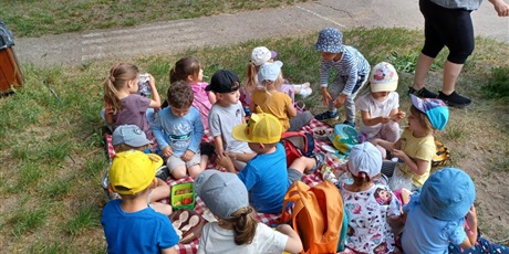 Powiększ grafikę: piaty-dzien-dziecka-za-nami-piknik-i-lodowe-szalenstwo-541079.jpg