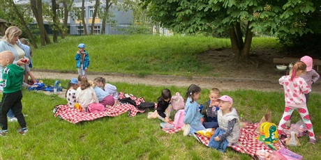 Powiększ grafikę: piknik-622679.jpg