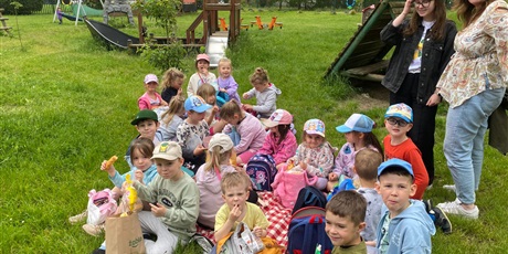 Powiększ grafikę: piknik-622684.jpg