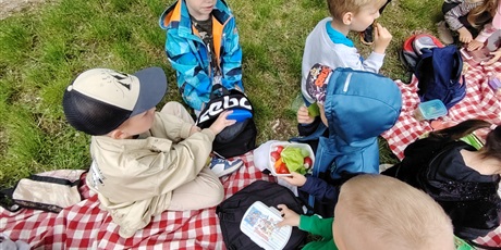 Powiększ grafikę: piknik-622691.jpg
