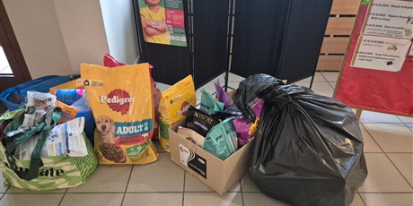 Powiększ grafikę: podziekowania-za-udzial-w-zbiorce-dla-schroniska-promyk-651125.jpg