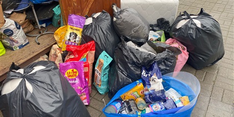 Powiększ grafikę: podziekowania-za-udzial-w-zbiorce-dla-schroniska-promyk-651878.jpg