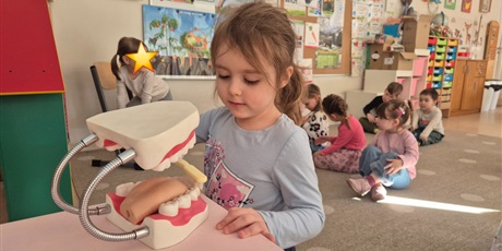 Powiększ grafikę: program-edukacyjny-pt-czyscimy-680125.jpg