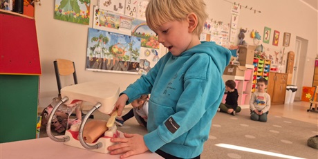 Powiększ grafikę: program-edukacyjny-pt-czyscimy-680131.jpg