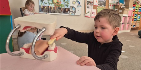 Powiększ grafikę: program-edukacyjny-pt-czyscimy-680137.jpg