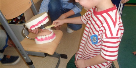 Powiększ grafikę: program-edukacyjny-pt-czyscimy-680148.jpg