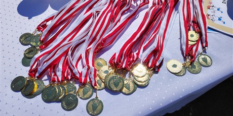 Powiększ grafikę: spartakiada-615314.jpg