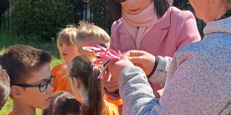Powiększ grafikę: spartakiada-615320.jpg