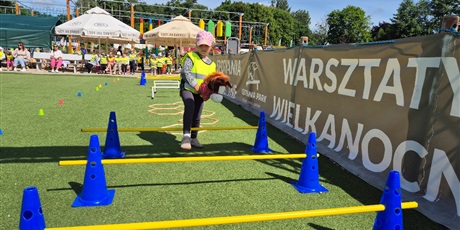 Powiększ grafikę: wesole-skrzaty-zdobywaja-costerina-park-700457.jpg