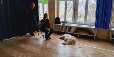 Powiększ grafikę: wizyta-strazy-miejskiej-z-psem-688525.jpg