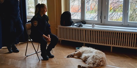 Powiększ grafikę: wizyta-strazy-miejskiej-z-psem-688526.jpg