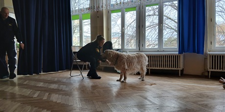 Powiększ grafikę: wizyta-strazy-miejskiej-z-psem-688528.jpg