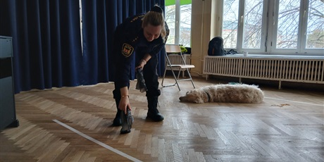 Powiększ grafikę: wizyta-strazy-miejskiej-z-psem-688529.jpg