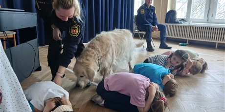 Powiększ grafikę: wizyta-strazy-miejskiej-z-psem-688546.jpg