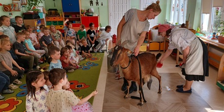 Powiększ grafikę: zagroda-powroty-615359.jpg