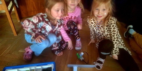 Powiększ grafikę: zajecia-z-robotyki-dla-wszystkich-grup-wesolych-skrzatow-655956.jpg