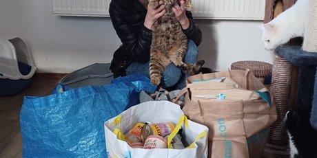 Powiększ grafikę: zakonczenie-akcji-charytatywnej-na-rzecz-fundacji-koty-spod-bloku-679271.jpg