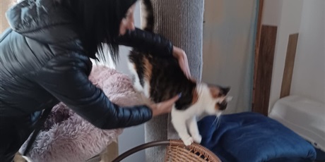 Powiększ grafikę: zakonczenie-akcji-charytatywnej-na-rzecz-fundacji-koty-spod-bloku-679274.jpg