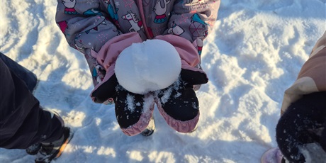 Powiększ grafikę: zimowe-szalenstwo-na-sankach-669279.jpg