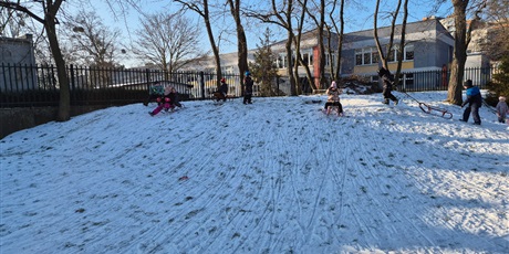 Powiększ grafikę: zimowe-szalenstwo-na-sankach-669285.jpg