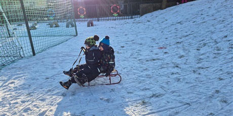 Powiększ grafikę: zimowe-szalenstwo-na-sankach-669298.jpg