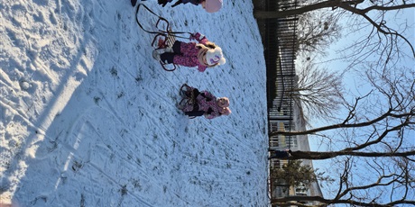 Powiększ grafikę: zimowe-szalenstwo-na-sankach-669308.jpg