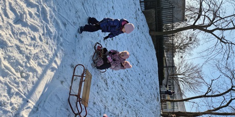 Powiększ grafikę: zimowe-szalenstwo-na-sankach-669309.jpg