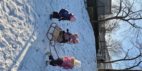 Powiększ grafikę: zimowe-szalenstwo-na-sankach-669310.jpg